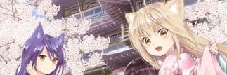 mado4917's profile banner image