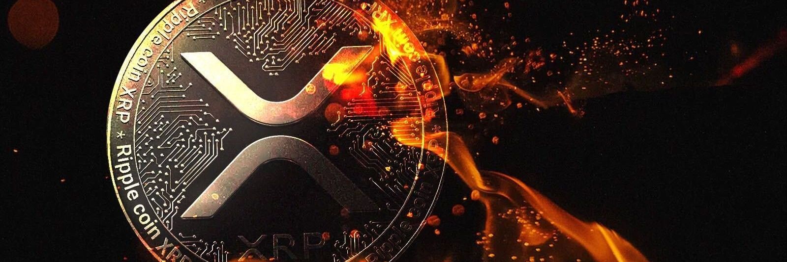 XFORCE banner