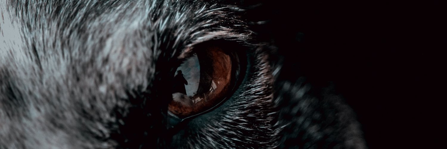 RudelCommerce's profile banner image