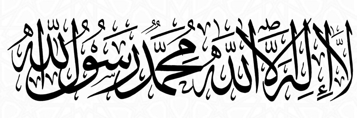 Nmsh banner