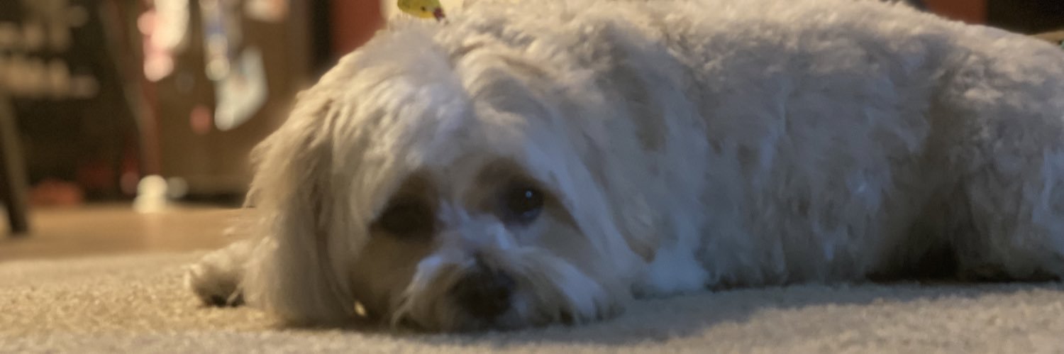 Rhaamses's profile banner image