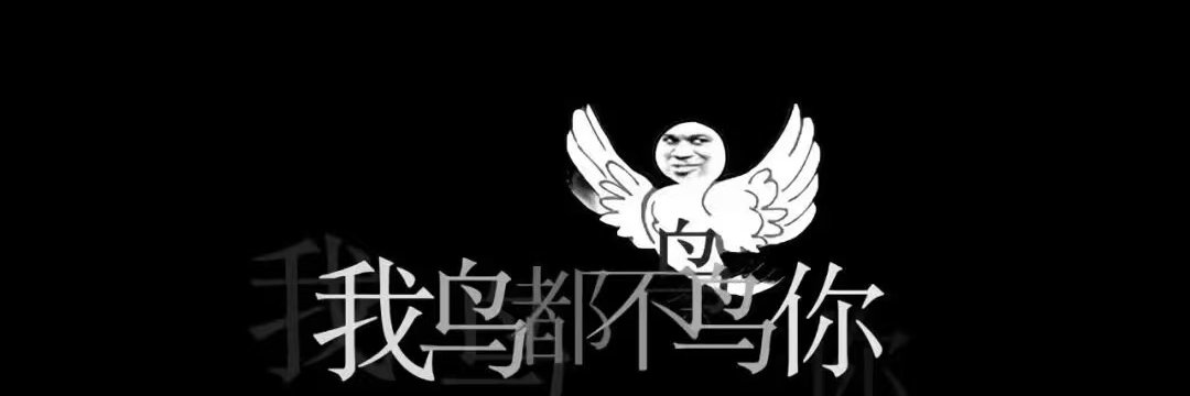 TheFly5Timon's profile banner image