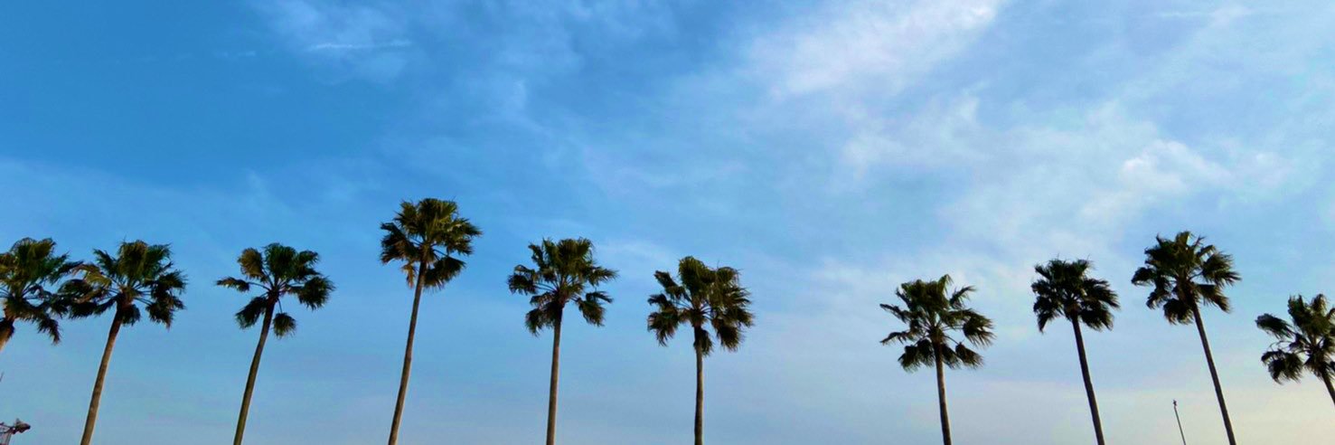 spvp5vc9's profile banner image
