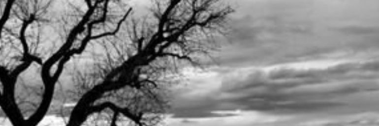 yeter_'s profile banner image