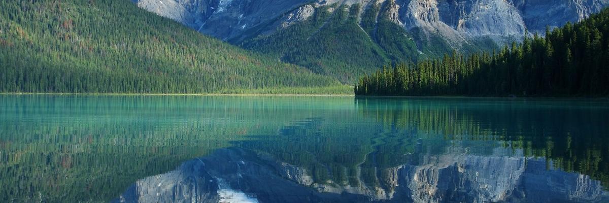 mpmercury's profile banner image