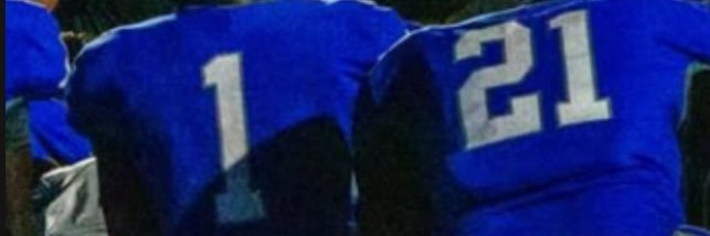 Clifford Nelson banner