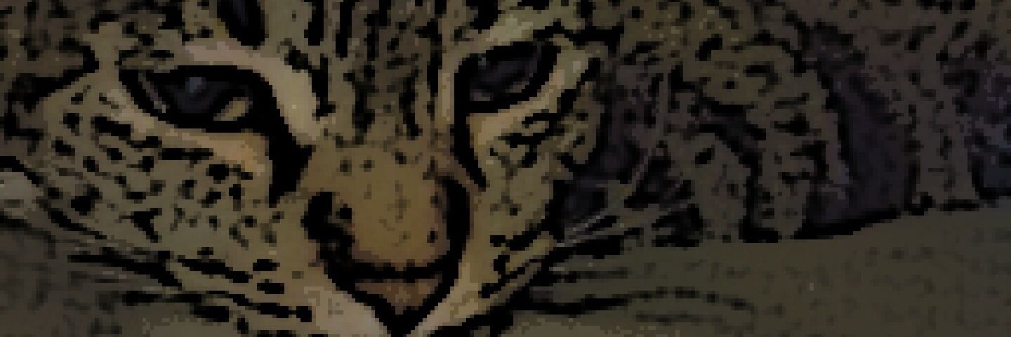 honneeybee's profile banner image