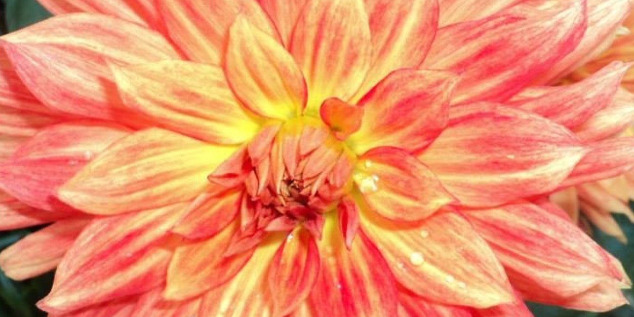 1_sandybeach's profile banner image