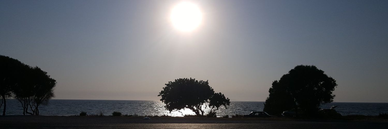 bipolarcik's profile banner image