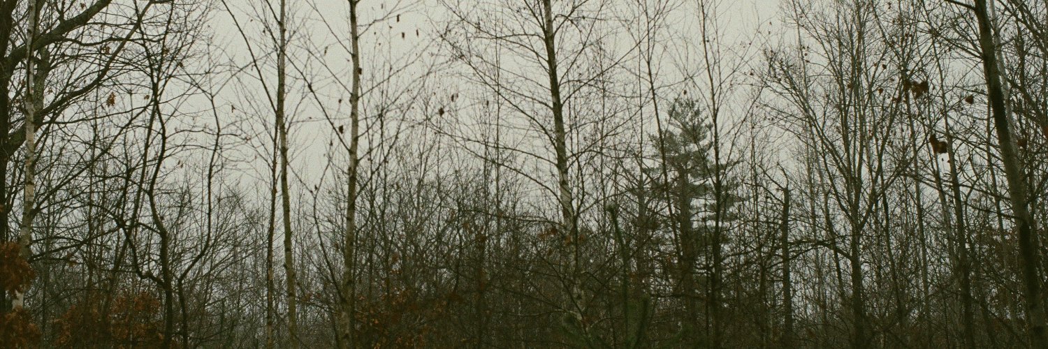 playysdead's profile banner image
