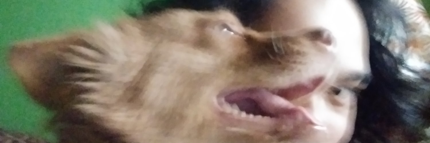 supervanxxxxx's profile banner image
