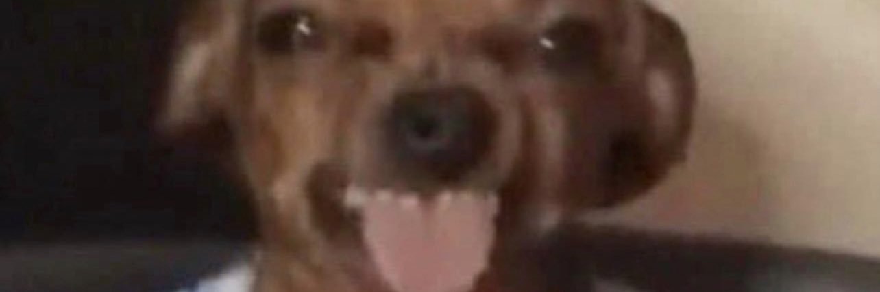 makemecumx2's profile banner image