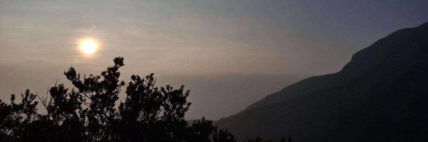 sisjeuni's profile banner image