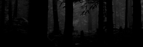 mrwizard74 Profile Banner