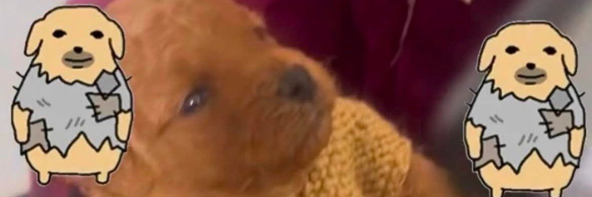 Big Man's Biggest Stan banner