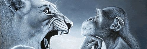 ssaalliikk's profile banner image