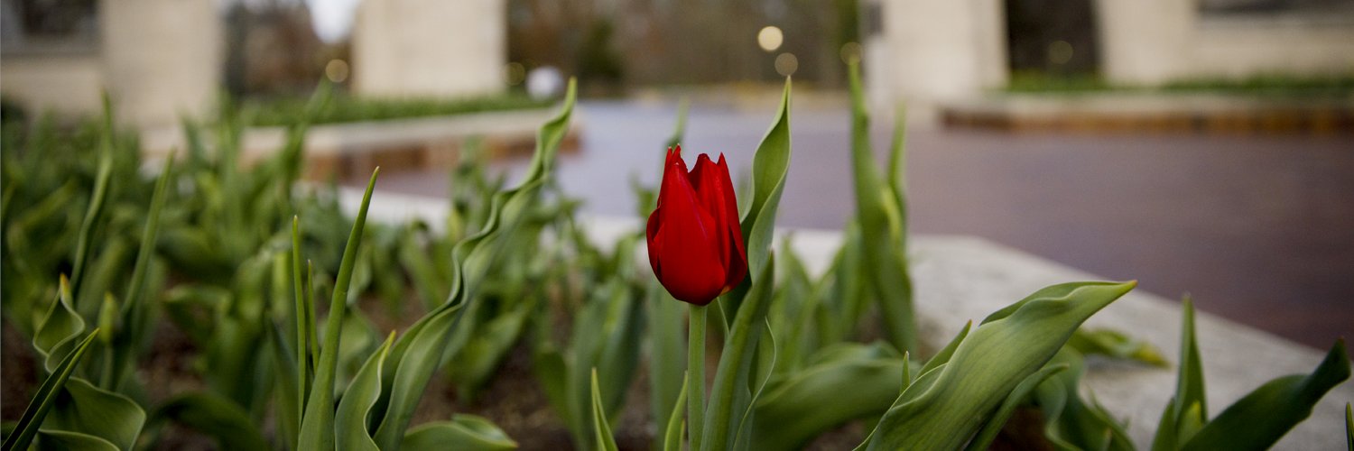 IUFoundation's profile banner image