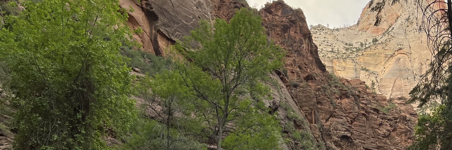 JezzyAnn's profile banner image