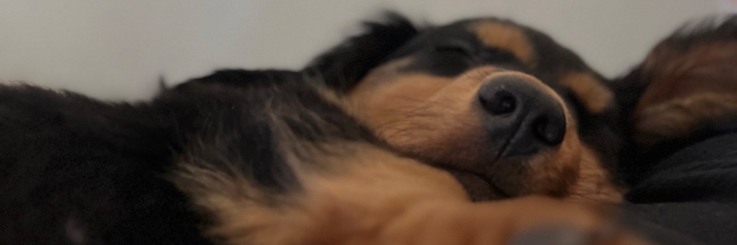 julirossi9_'s profile banner image