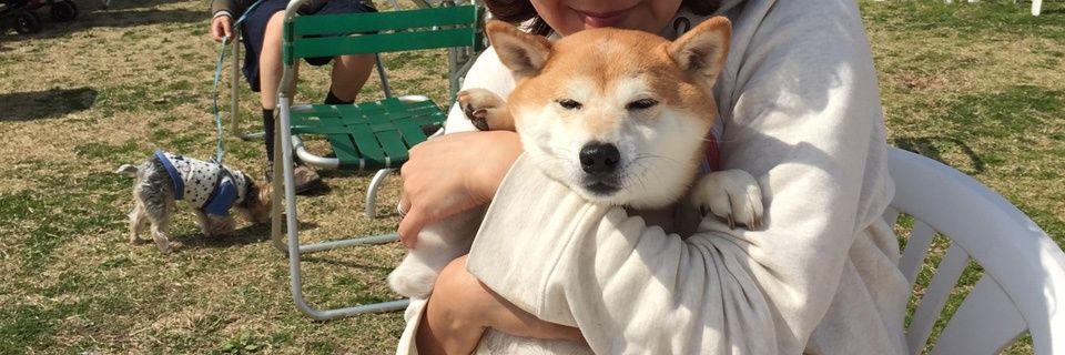 PicchusMom's profile banner image