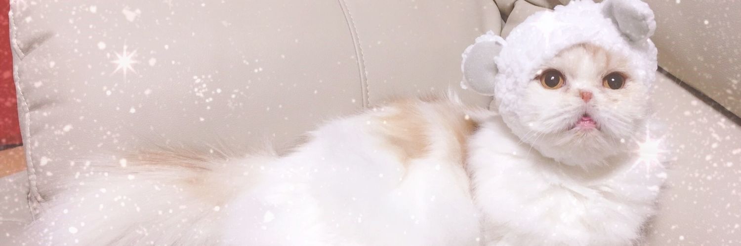 vo_mikuru's profile banner image