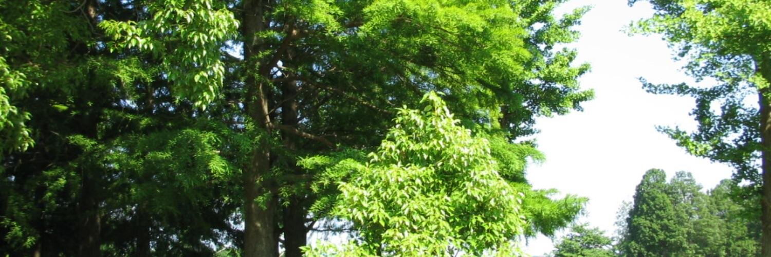 housewave5588's profile banner image