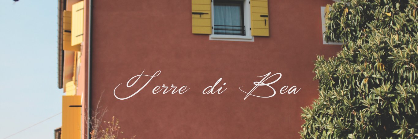 terredibea's profile banner image