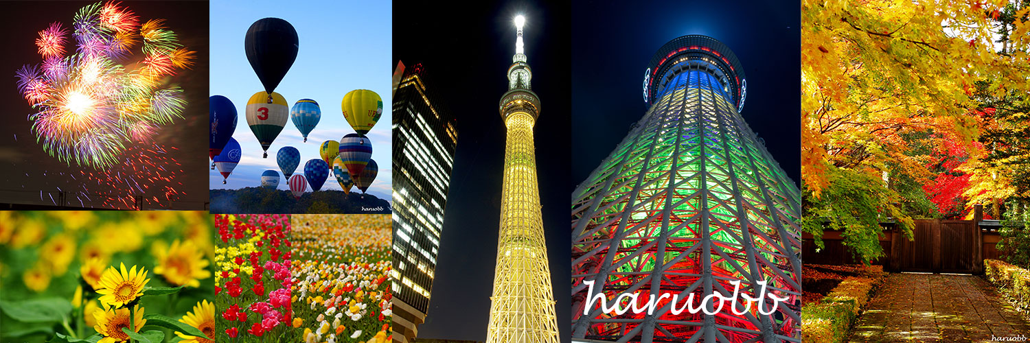 haruobb＠Photos banner