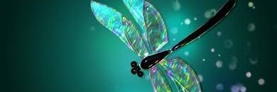 🔱 Proud ᵀᵉᵃᵐ ᴹᵃˢᵗᵃⁿᵈᵃ banner