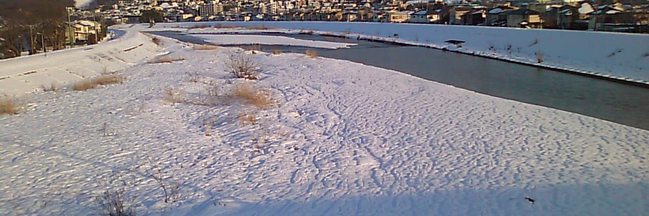 嵩葉 隼雪 banner