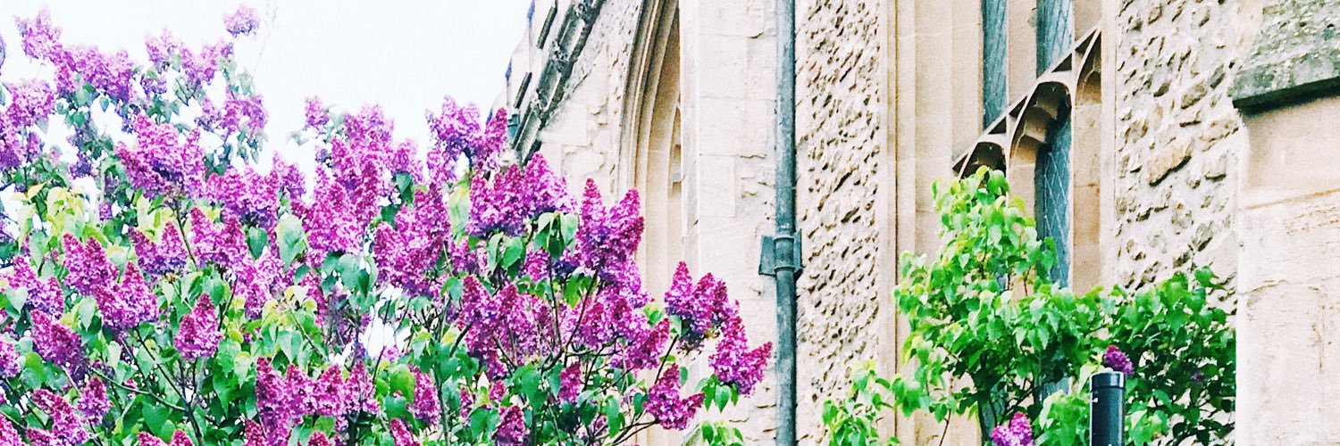 __gracebee's profile banner image