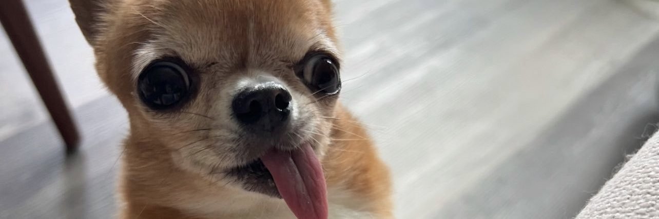 juliaklly's profile banner image
