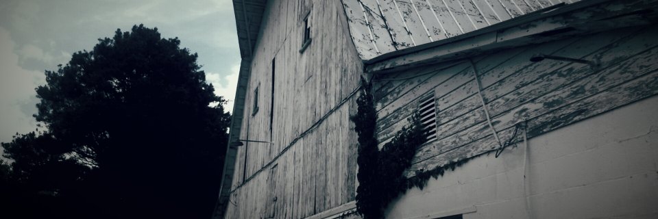 MrsMole09's profile banner image