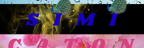 SimiAkter967919's profile banner image
