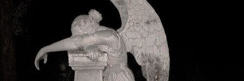 soso banner