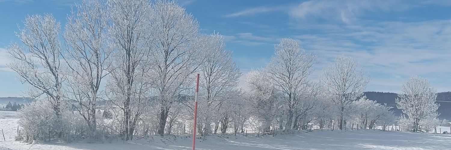 Doğan 🇹🇷🇵🇸🌹 banner