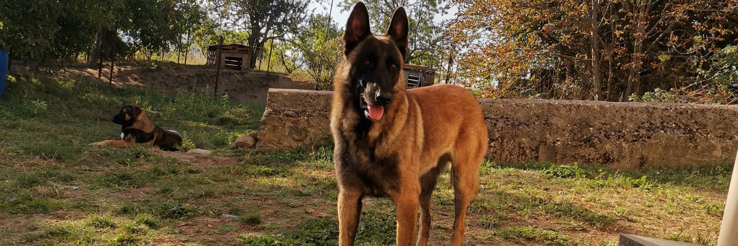 Jean L'éclair ⚠️⚜️🇨🇵 🇮🇹🇷🇺🏴‍☠️ banner