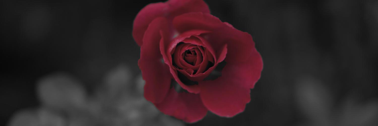 juuun_su's profile banner image