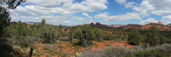 mark_l_watson Profile Banner