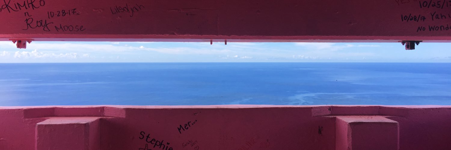 PironnU's profile banner image
