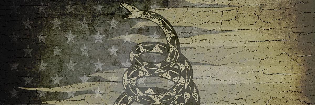 Alew banner