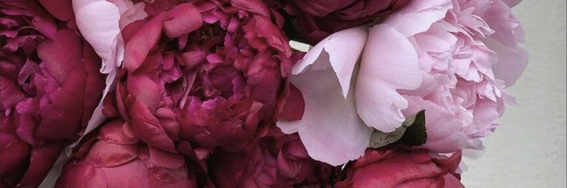 ECN_33's profile banner image