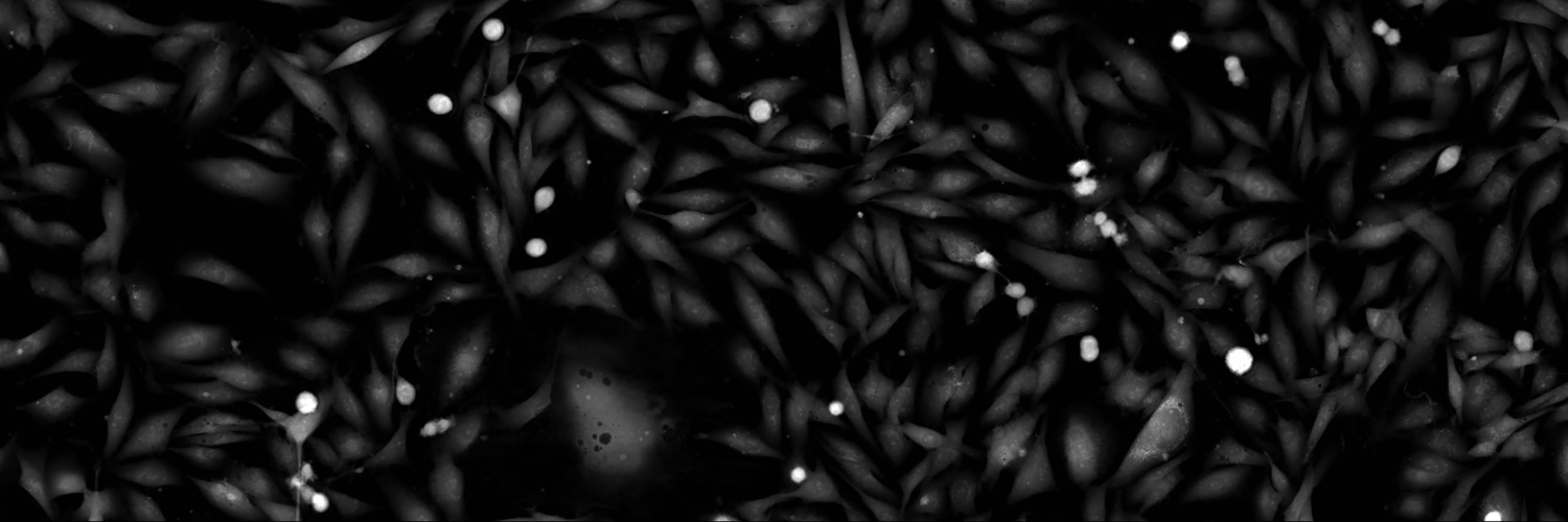 MartinHumphry's profile banner image