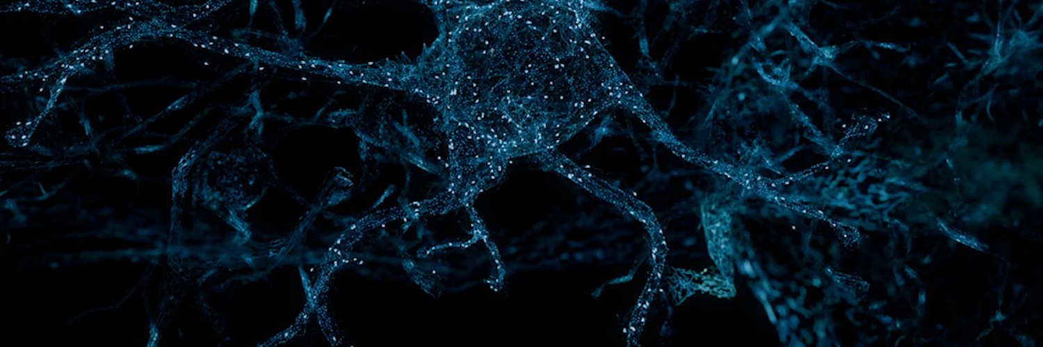 myolab.ai's banner