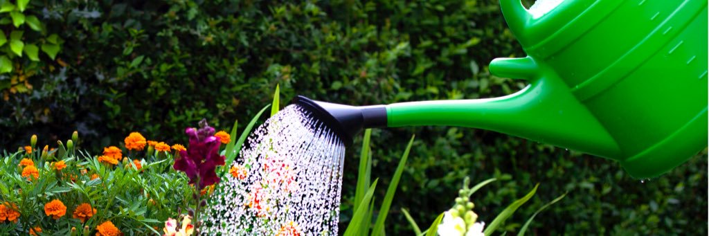ferncrestltd's profile banner image
