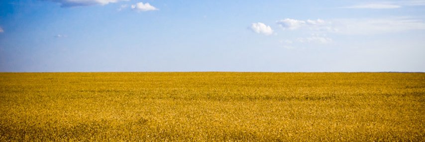 In Ukraine's banner