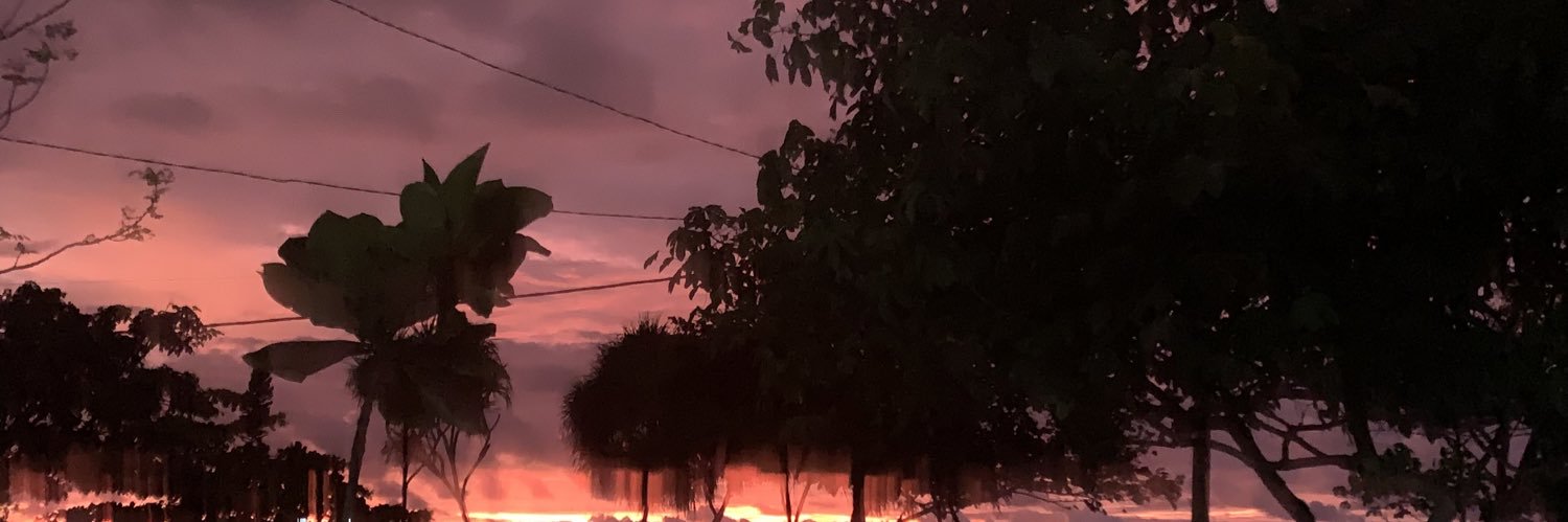 n o m i n d banner