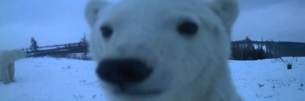 Rude345142 Profile Banner