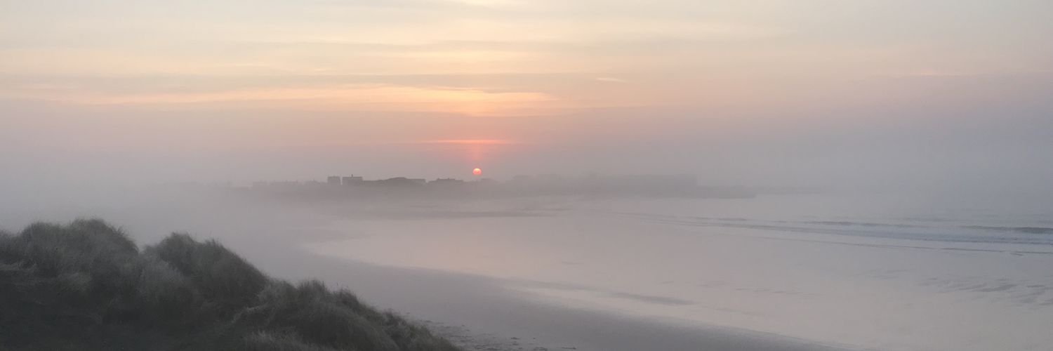 fleuryfleur1999's profile banner image