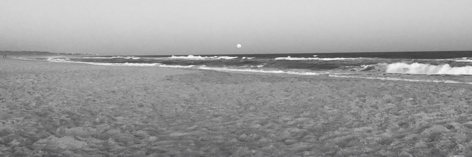 gio_storti's profile banner image